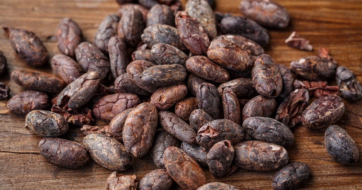 Fèves de cacao slide 1