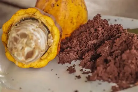 Tourteau de cacao slide 0